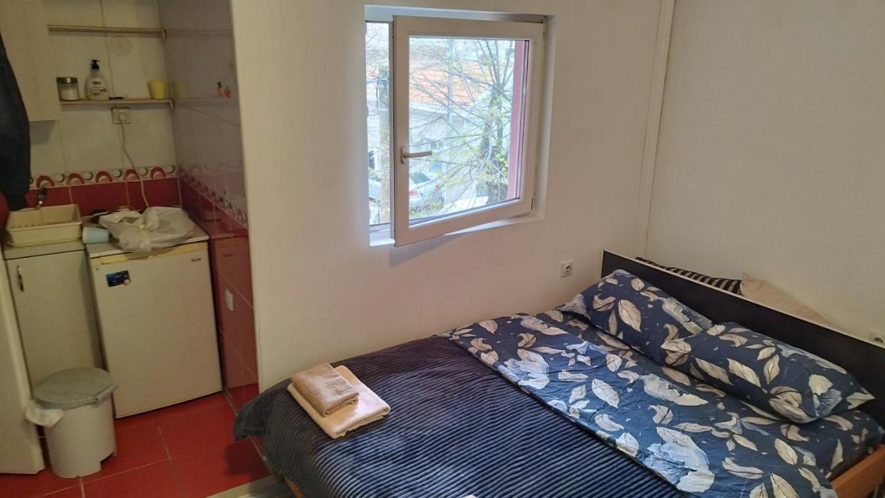 Small Apartment Private Bathroom Strong Wi-Fi 贝尔格莱德 外观 照片